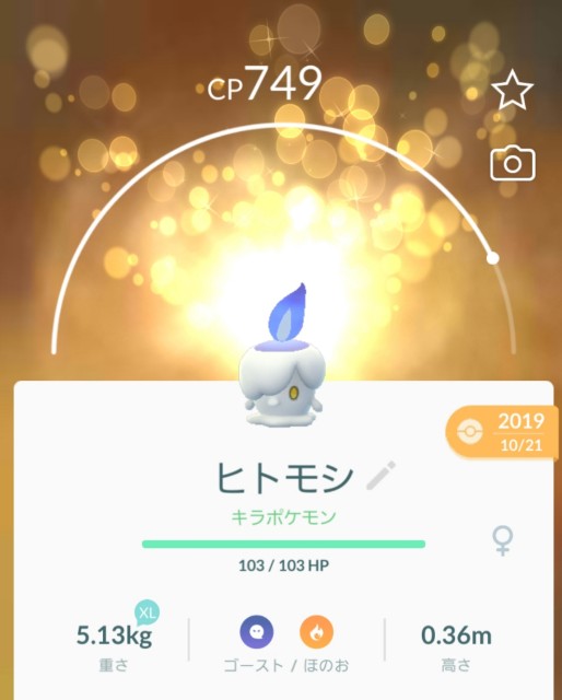 f:id:daichipokego777:20200212122247j:image