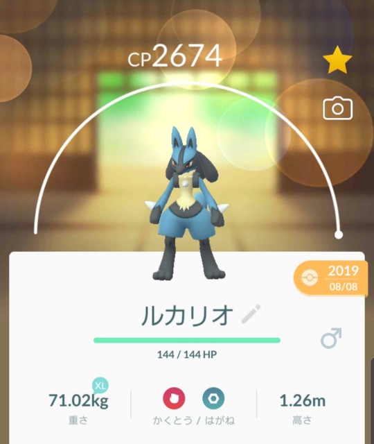 f:id:daichipokego777:20200212200414j:image