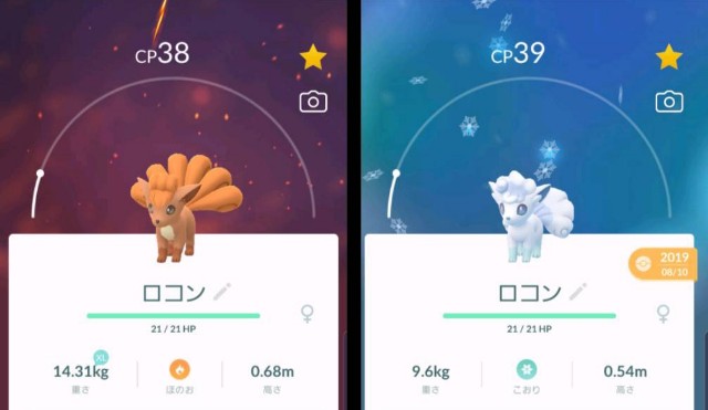 f:id:daichipokego777:20200213151608j:image