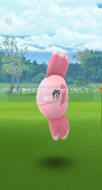 f:id:daichipokego777:20200218132818j:image