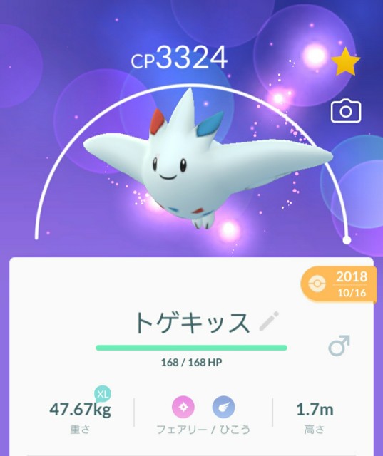 f:id:daichipokego777:20200307121301j:image