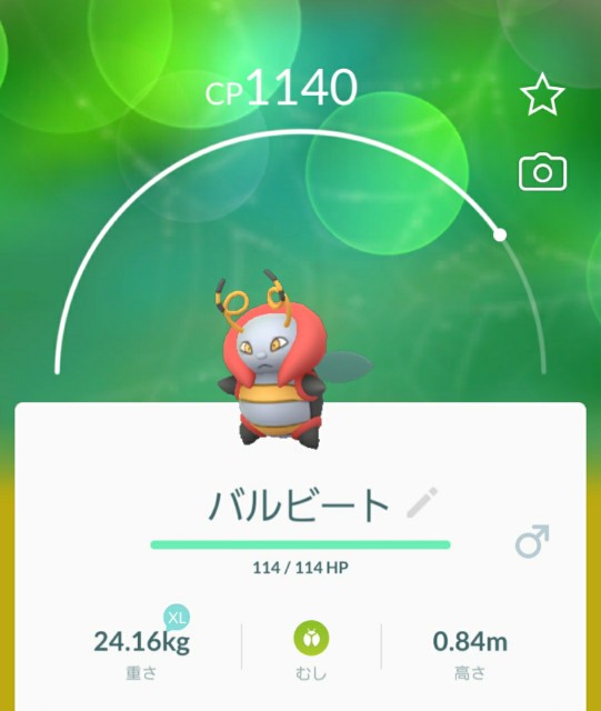 f:id:daichipokego777:20200315185508j:image