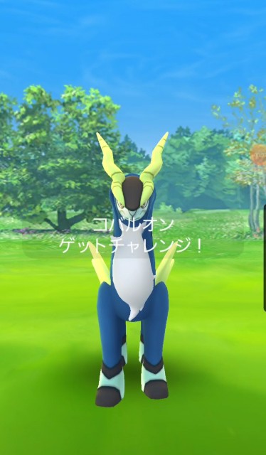 f:id:daichipokego777:20200322103918j:image f:id:daichipokego777:20200322103918j:image