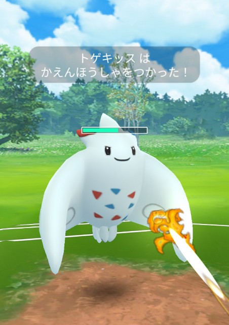 f:id:daichipokego777:20200510154437j:image