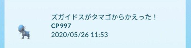 f:id:daichipokego777:20200526125158j:image