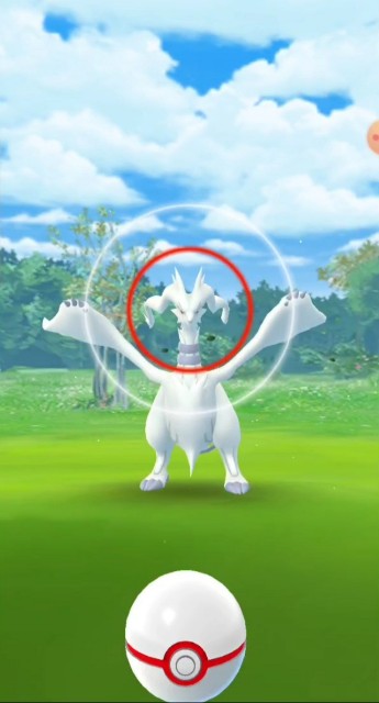 f:id:daichipokego777:20200527135642j:image f:id:daichipokego777:20200527135642j:image