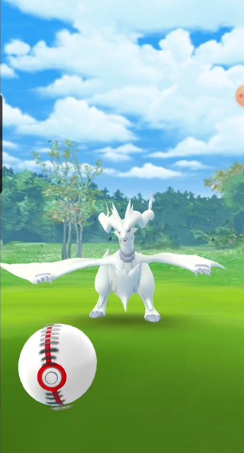 f:id:daichipokego777:20200527135846j:image f:id:daichipokego777:20200527135846j:image