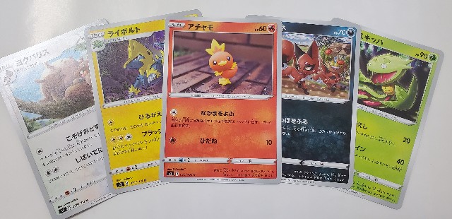 f:id:daichipokego777:20200607104916j:image