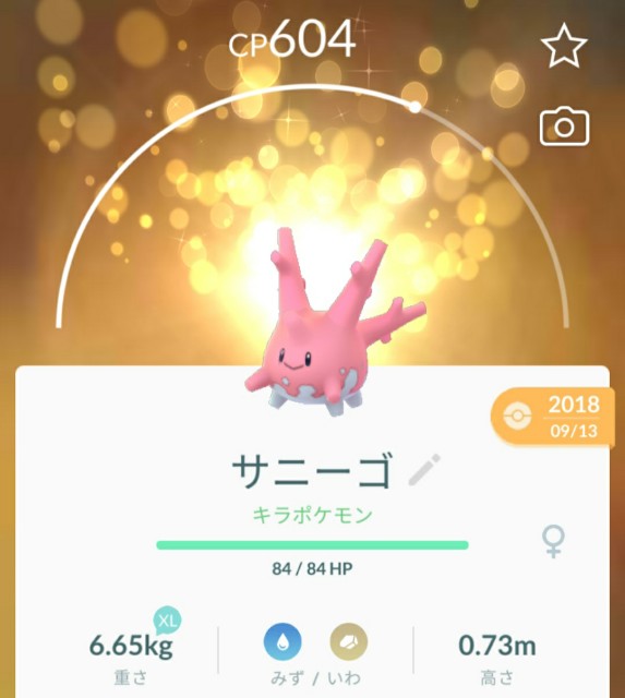 f:id:daichipokego777:20200607114714j:image