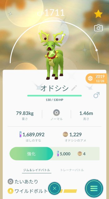 f:id:daichipokego777:20200609104712j:image