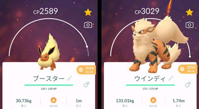 f:id:daichipokego777:20200624112911j:image