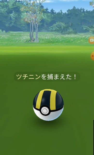f:id:daichipokego777:20200627125448j:image