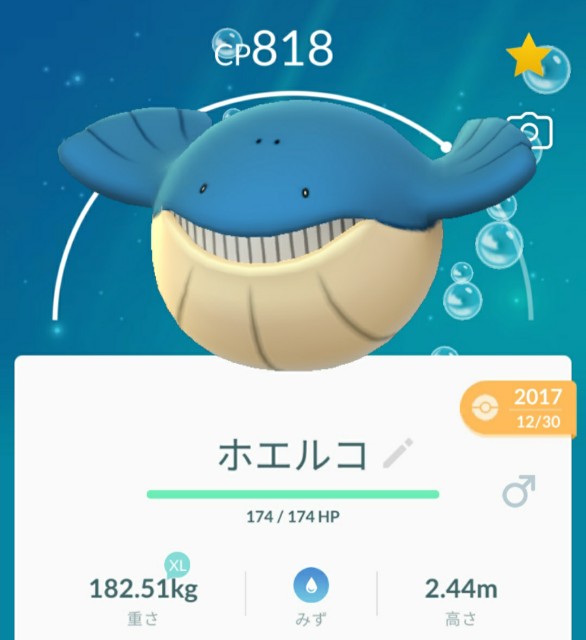 f:id:daichipokego777:20200705133539j:image