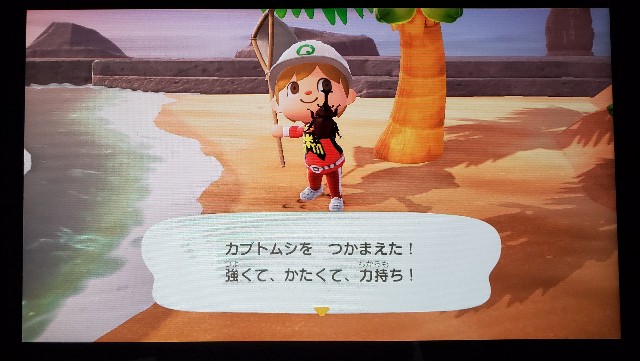 f:id:daichipokego777:20200716105701j:image