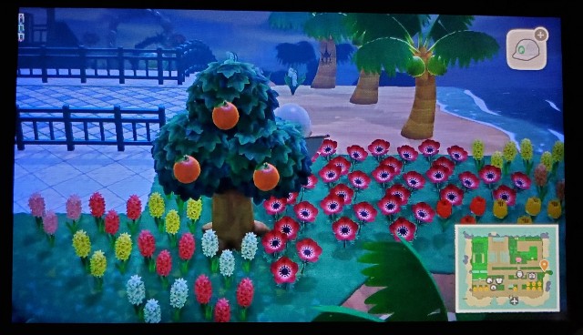 f:id:daichipokego777:20200716113216j:image