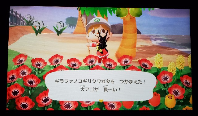 f:id:daichipokego777:20200716113609j:image