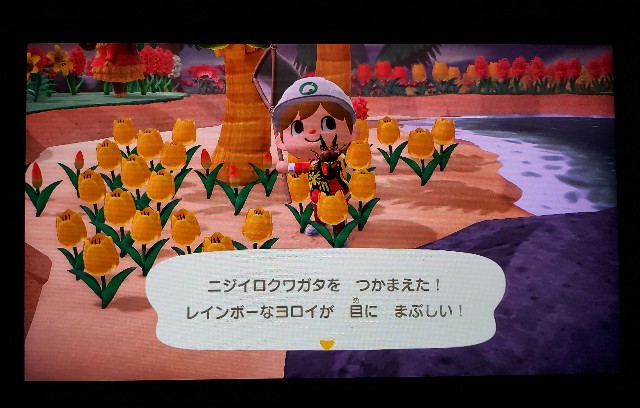 f:id:daichipokego777:20200716114356j:image