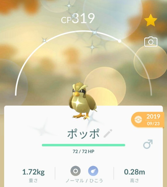 f:id:daichipokego777:20200722200804j:image