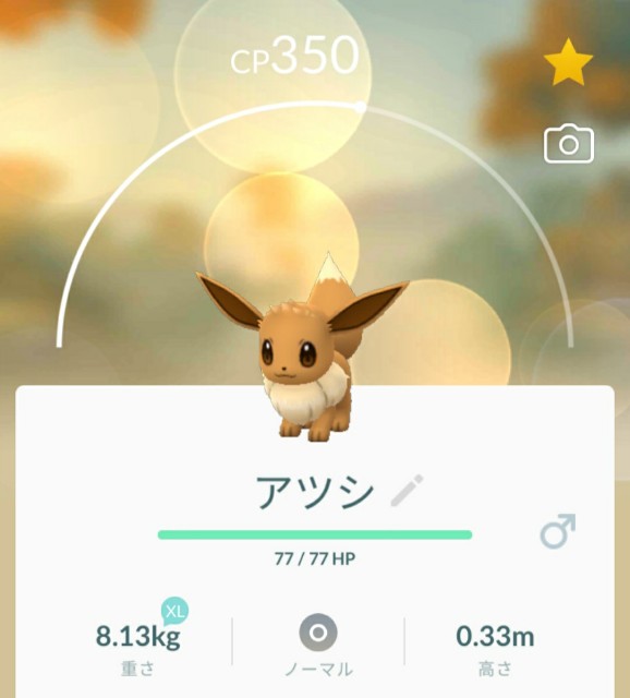 f:id:daichipokego777:20200814184852j:image