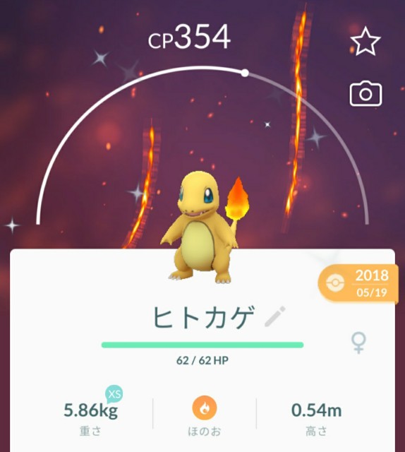 f:id:daichipokego777:20200818110213j:image