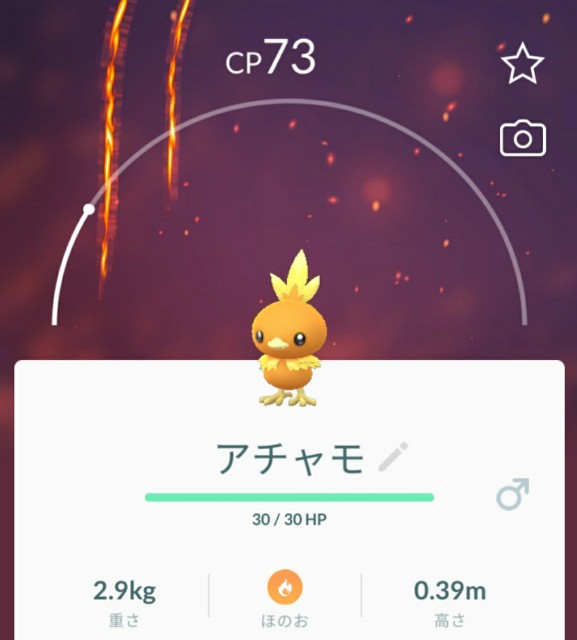 f:id:daichipokego777:20200829182702j:image
