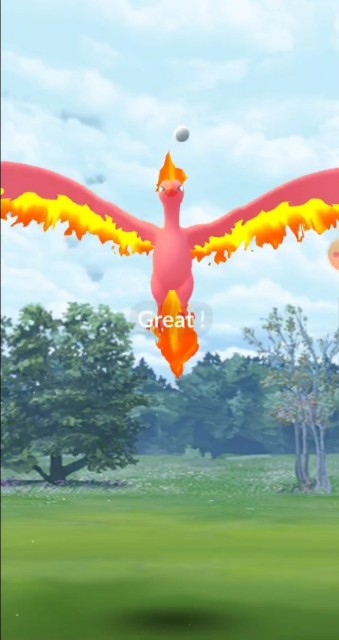 f:id:daichipokego777:20201004164356j:image