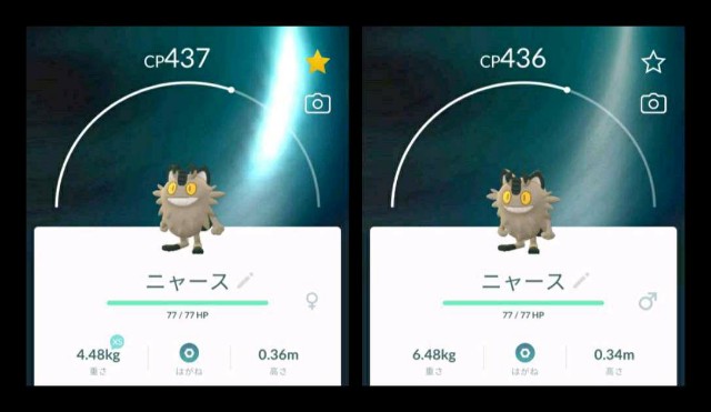 f:id:daichipokego777:20201011102937j:image