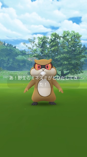 f:id:daichipokego777:20201108150134j:image