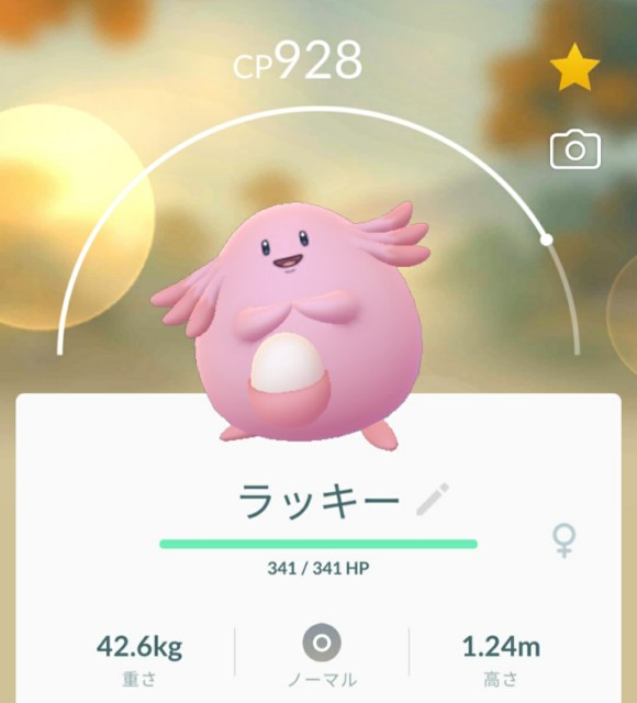f:id:daichipokego777:20201121200538j:image