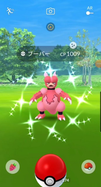 f:id:daichipokego777:20201122124257j:image