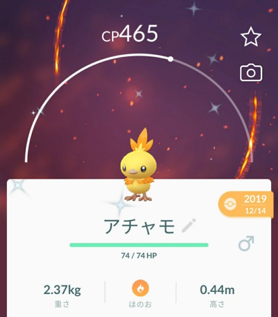 f:id:daichipokego777:20201204091819j:image