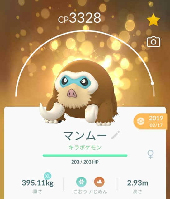 f:id:daichipokego777:20201205110601j:image