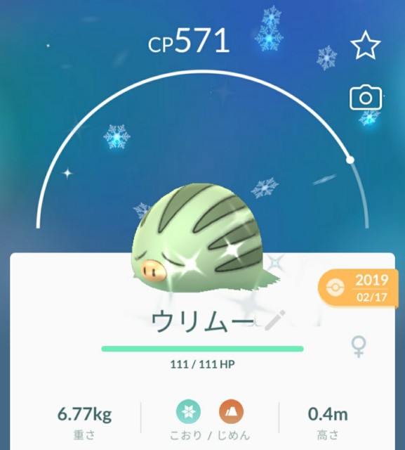 f:id:daichipokego777:20201205191234j:image