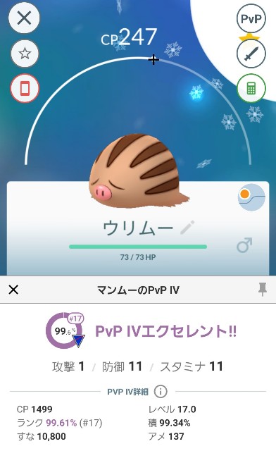 ポケモンgo 砂2倍にアメxl集め 実は全力案件だったウリムーアワー まさかの色違い高個体値も スポットライトアワー ラプラス大好きトレーナーのポケモンgo日記