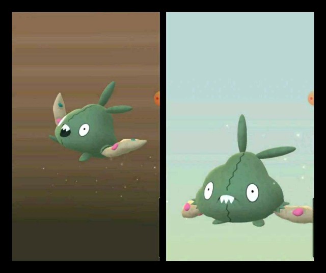f:id:daichipokego777:20201212185211j:image