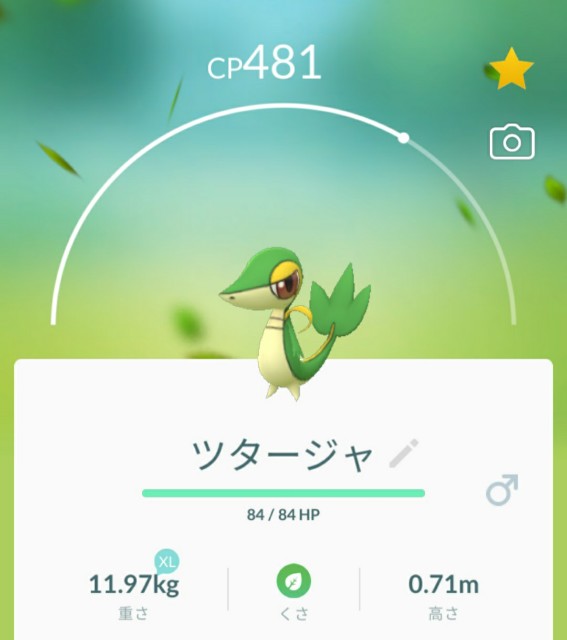 f:id:daichipokego777:20201212193644j:image