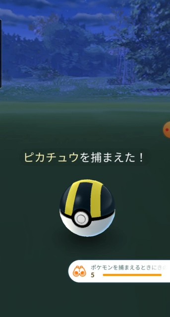 f:id:daichipokego777:20201216111332j:image