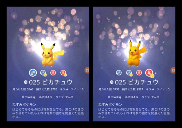 f:id:daichipokego777:20201216113955j:image