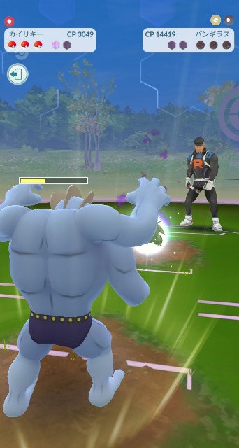 f:id:daichipokego777:20201221095811j:image