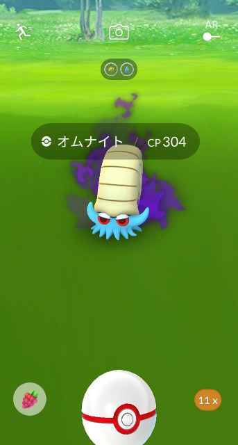 f:id:daichipokego777:20201221101032j:image