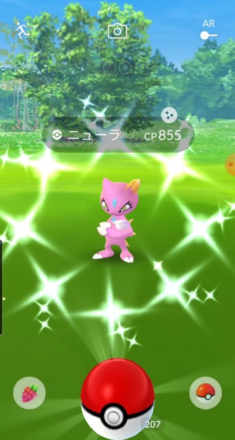 f:id:daichipokego777:20210130112539j:image