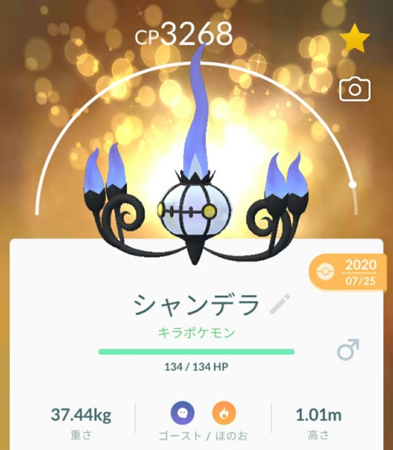 f:id:daichipokego777:20210208094142j:image