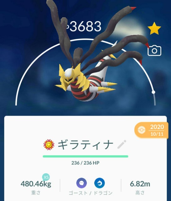 f:id:daichipokego777:20210209073957j:image