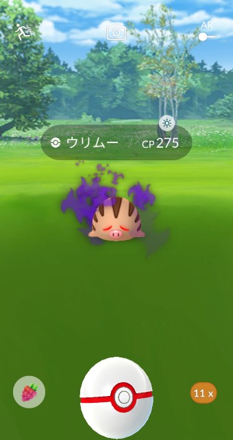 f:id:daichipokego777:20210210110811j:image