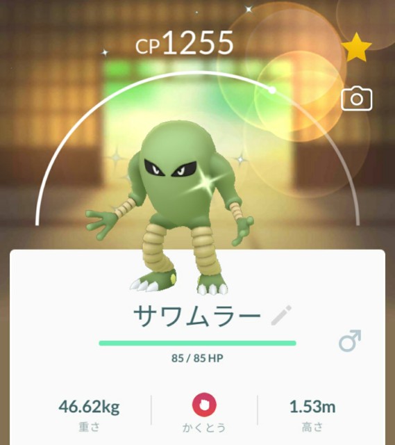 f:id:daichipokego777:20210221121837j:image