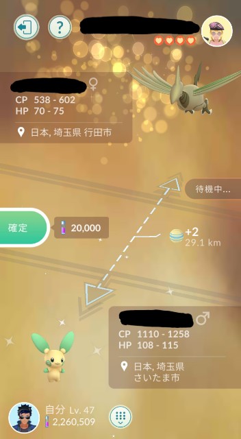 f:id:daichipokego777:20210221130443j:image