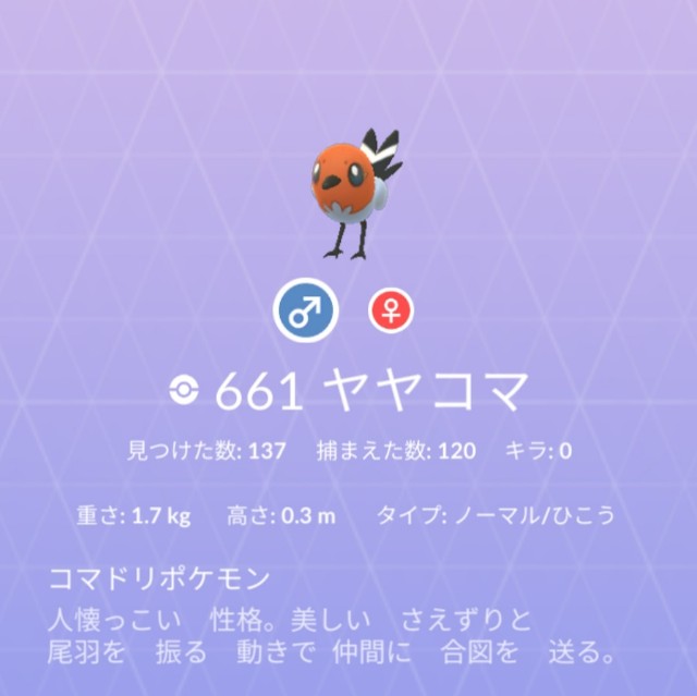 f:id:daichipokego777:20210309084657j:image