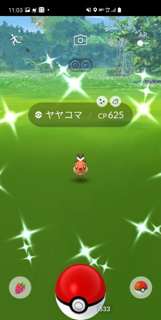 f:id:daichipokego777:20210309084858j:image