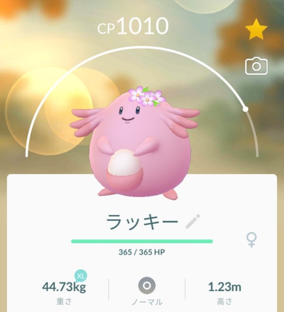 f:id:daichipokego777:20210409104241j:image f:id:daichipokego777:20210409104241j:image
