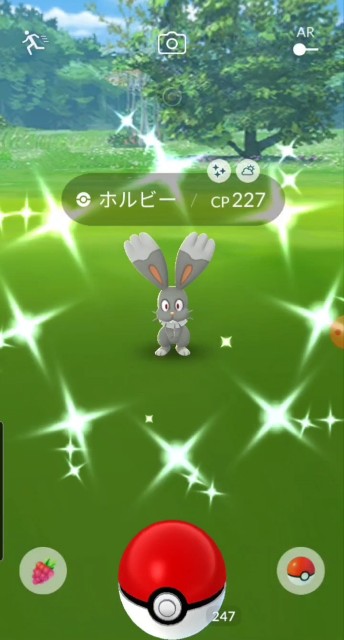f:id:daichipokego777:20210409113328j:image f:id:daichipokego777:20210409113328j:image
